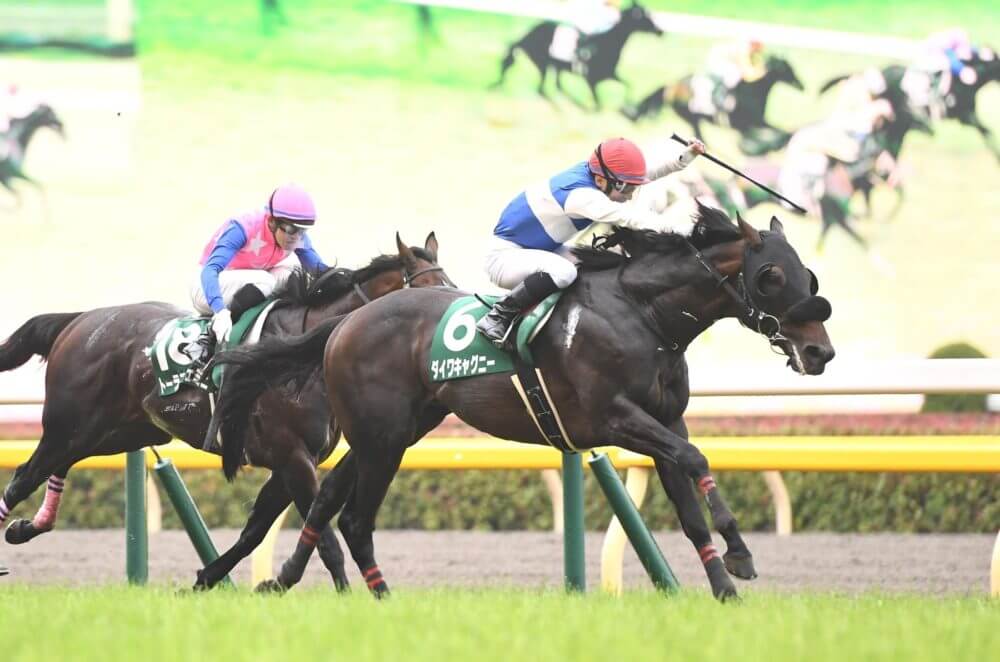 穴推し競馬 エプソムカップ21 5分で分かる 出走全馬の前走のまとめ